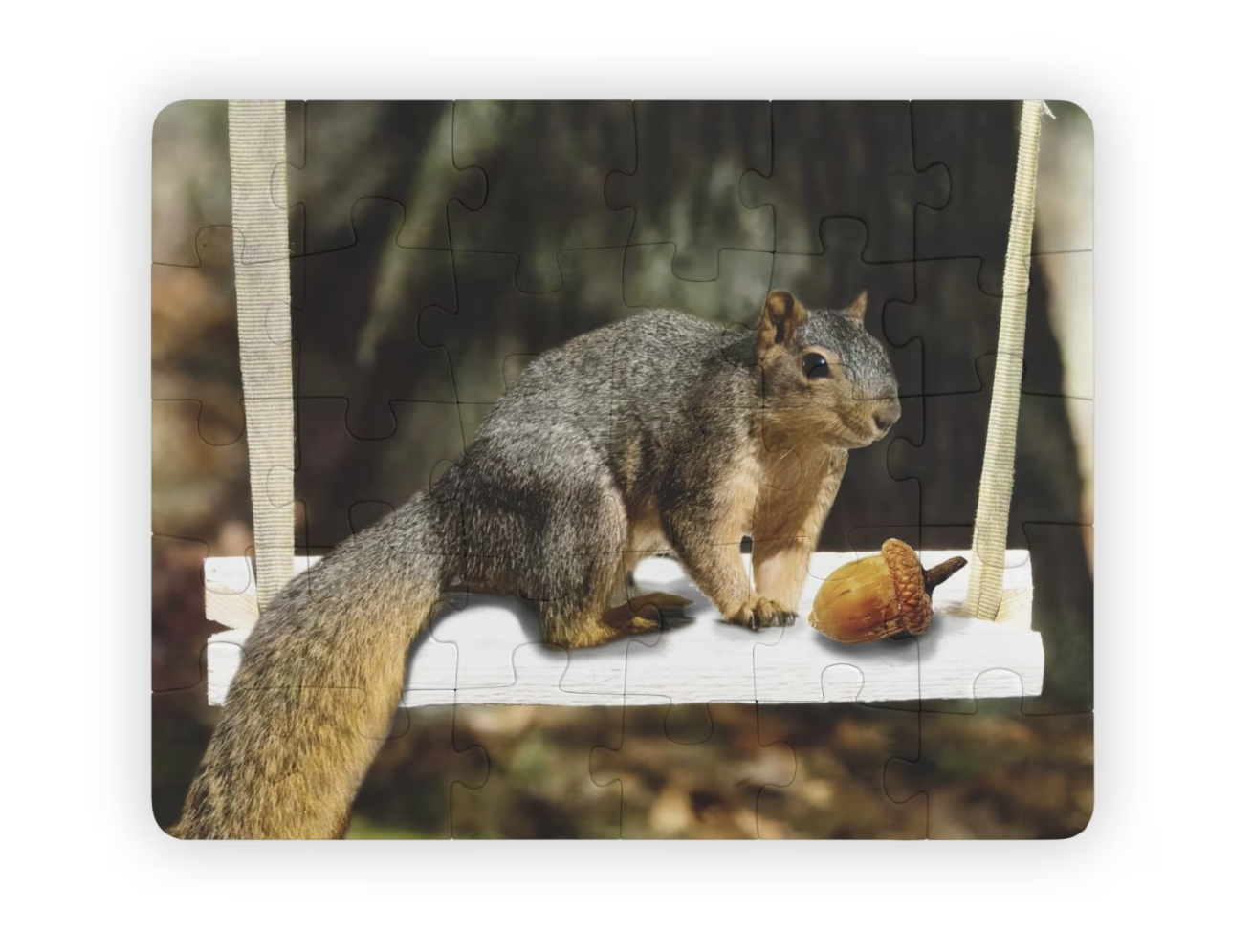 squirrel on swing kids puzzle